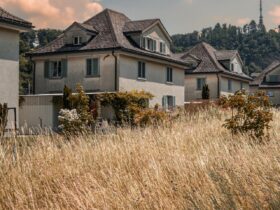 Dofinansowanie Do Wymiany Okien W 2025