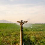 Podlewanie Działki I Ogrodu