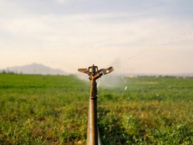 Podlewanie Działki I Ogrodu