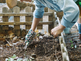 Porządkowanie grządek