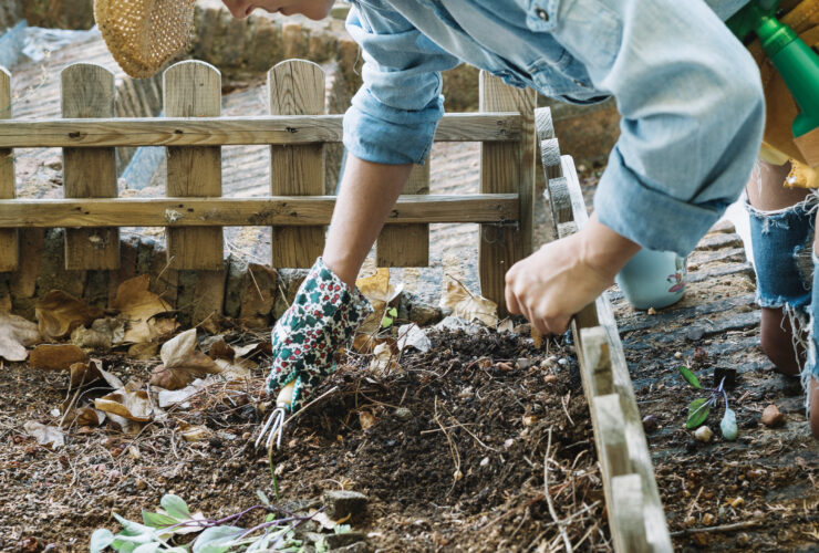 Porządkowanie grządek