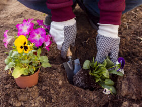 Sadzenie Kwiatów